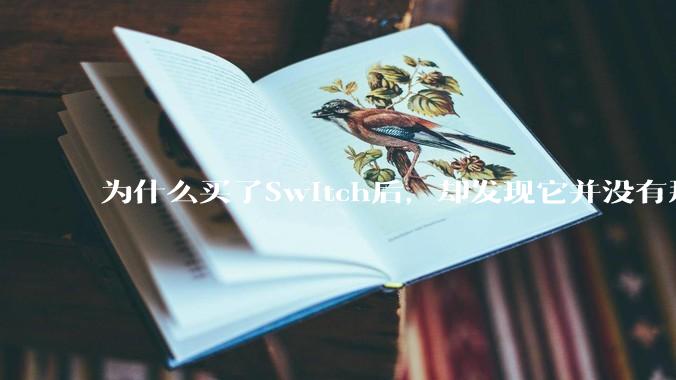 为什么买了Switch后，却发现它并没有那么好玩？