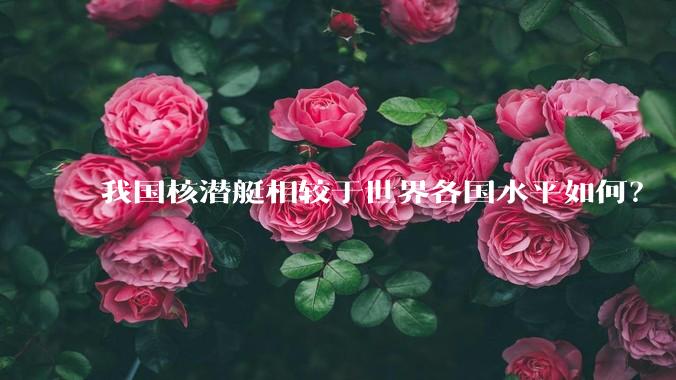 我国核潜艇相较于世界各国水平如何？