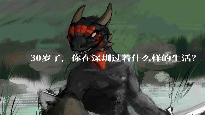 30岁了，你在深圳过着什么样的生活？